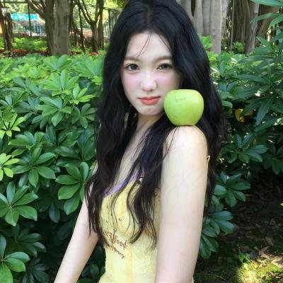 档案风暴